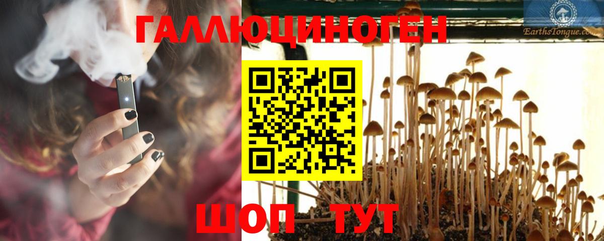 Галлюциногенные грибы мухоморы Черняховск